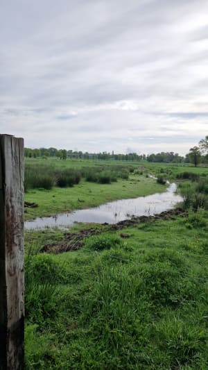 Boucle à saint Gilles - Lucie  - 7