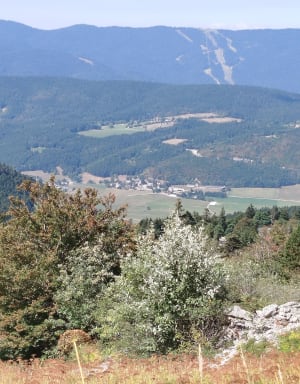 Lans-en-Vercors en word duizelig op de vertigo-loopbrug - Lans-en-Vercors, La Sierre - 3