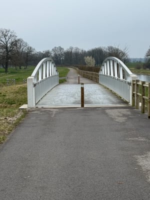 Belle balade autour du la de Lusigny-sur-Barse - Lusigny-sur-Barse - 7