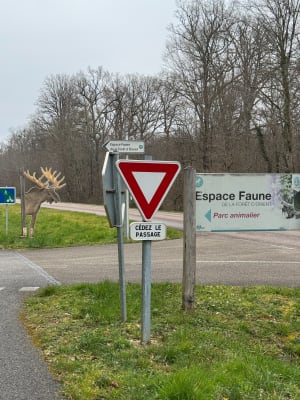 Belle balade autour du la de Lusigny-sur-Barse - Lusigny-sur-Barse - 9