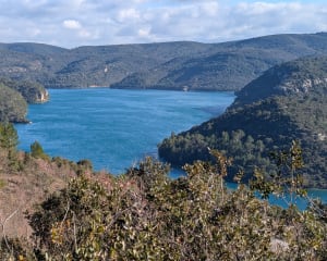 Le long de Le Colostre vers le lac d'Esparron - Gréoux-les-Bains - 14