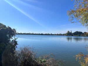 Tour de la Ramée depuis Saint Simon - Toulouse - 4