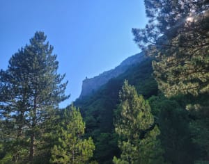 Chapelle Saint Maurice - Dieulefit - 3