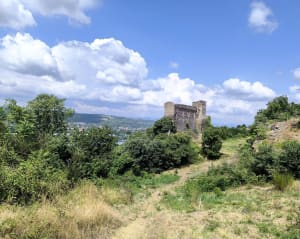 Seyssuel, château, vignes, vallée du Rhône - Laëtitia - 4