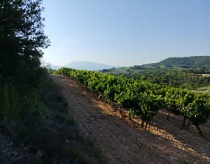Balade autour de Mirabel Aux Baronnies - Mirabel-aux-Baronnies - 6