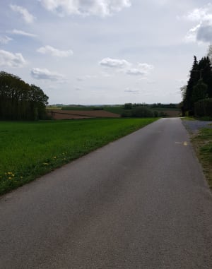 Sentier des jacinthes - Sain Jans de Cappel - 12