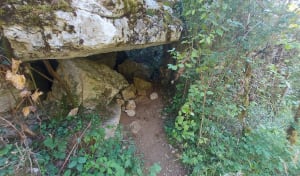 Berrias-et-Casteljau en de ontdekking van de olijfboom - Berrias-et-Casteljau - 30