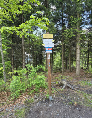 Kłodzka Góra z Kłodzkiej Przełęczy - Podzamek - 10