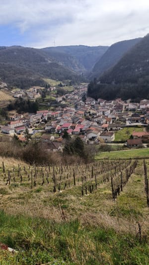 Vigne de Cerdon-chapelle de St Alban-Labalme - Cerdon - 12