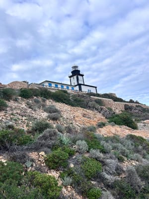 De Calvi à La Revellata - Calvi - 46