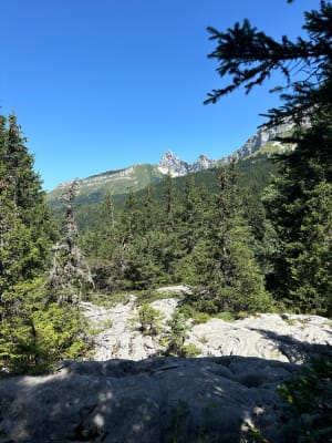 Les Glovettes - Preys weilandenmeer - Villard de Lans - 14