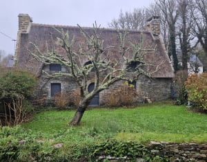 La Roche Percée à Clohars - Clohars-Carnoët - 23