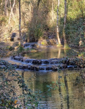 Cascade de la conche - Saint-Montan - 39