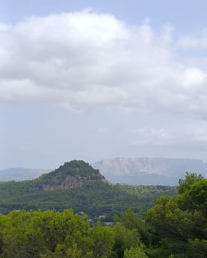 Sur les hauteurs de Simiane - Simiane-Collongue - 17