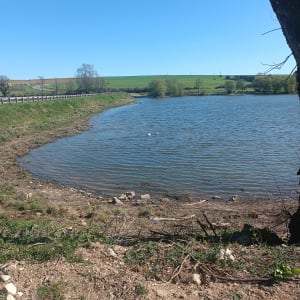 Balade autour du Lac de Bairon - Myriam - 20