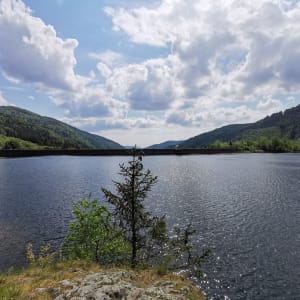 Lac d'Alfed depuis la Chaumière - Lepuix - 3