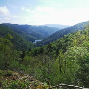 Lac d'Alfed depuis la Chaumière - Lepuix - 4