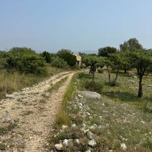 Sentier du bois de la ville "tour Gisclé " - Saint-Ambroix - 10