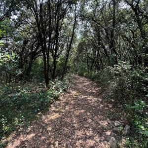 Sentier du bois de la ville "tour Gisclé " - Saint-Ambroix - 11