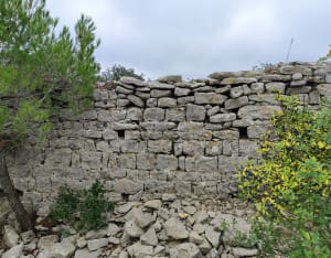 Puech des Mourgues en het wonder op de kliffen - Saint-Bauzille-de-Montmel - 21