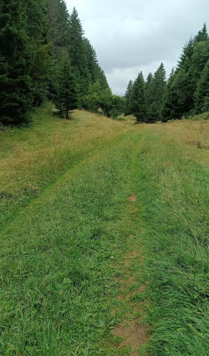 Balade aux alentours du lac de Lamoura - Lamoura - 2