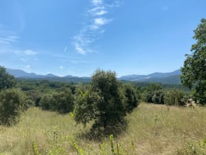 Entre Lavandes et Chataigniers - Dieulefit - 4