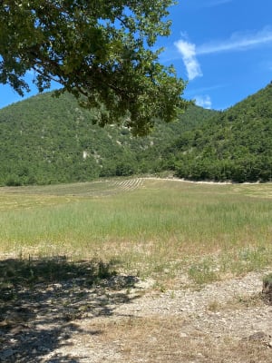 Entre Lavandes et Chataigniers - Dieulefit - 6