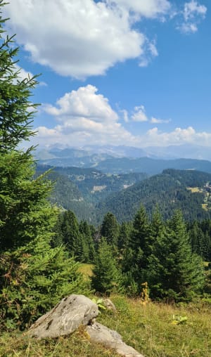 Lac de Roy - Taninges - 5