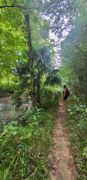 Promenade autour de Sare - Sare - 4