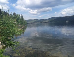 Saut de la Bourrique et lac de Gérardmer - Gérardmer - 7