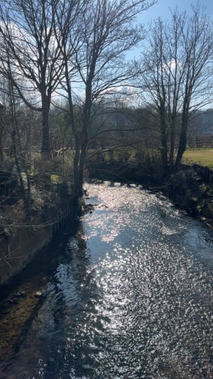 Plaine d'Houlouve - Wimille - 10