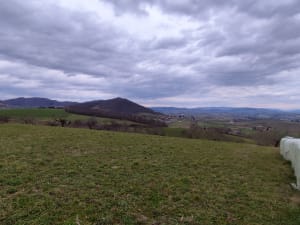 Savigny et ses douces prairies - Savigny - 4