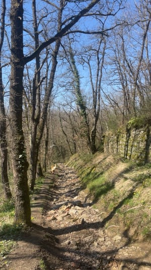 De vallons en châteaux à Saint-Jean-de-Touslas - Beauvallon - 8