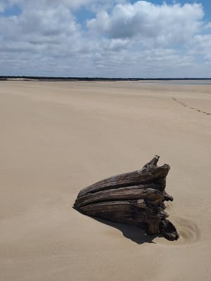 Phare de la coubre - La Tremblade - 2