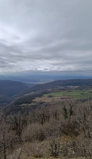 De Lompnas au plateau des Charmilles, à travers bois - Lompnas - 2
