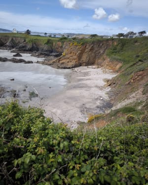 Des Falaises de Trez Bihan au Fort de l'Aber - Telgruc-sur-Mer - 28