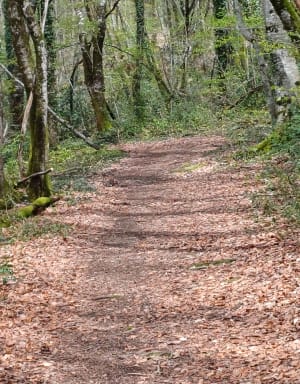 Petite ballade autour du Rouget - Le Rouget-Pers - 3