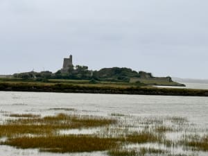 Du Cul de Loup à Saint-Vaast - Richard - 3
