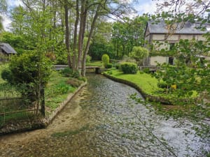 Moulin de l'arbalète et domaine du Bosmelet - PATRICK - 3
