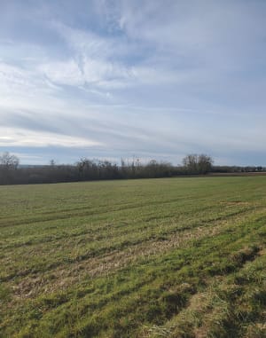 Venetië in Brie en een wandeling langs de kanalen - Crécy-la-Chapelle - 15