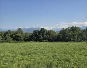 Montgaillard par Las Puyoles - Montgaillard - 4