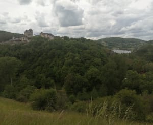 Découverte du causse corrézien et espèces rares - Chasteaux - 11