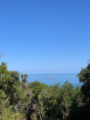 Boucle chemin des Eucalyptus, depuis Frati et Parata - Ajaccio - 21