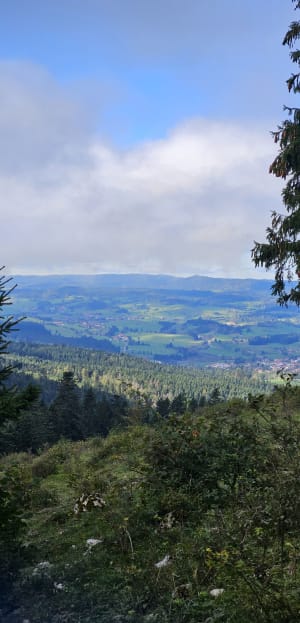 Le Morond et le Mont d'Or - Albin - 32