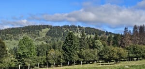 Le Morond et le Mont d'Or - Albin - 34