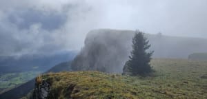 Le Morond et le Mont d'Or - Albin - 36
