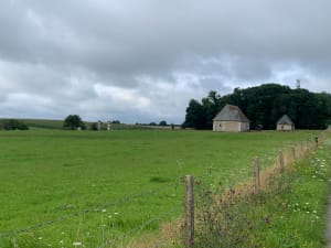 Entre plaine et forêt au départ de La Vaupalière. - La Vaupalière - 11