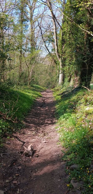 Parcours patrimoine de Boulon - Boulon - 7