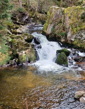 Le saut des cuves - La Roche du Page - Xonrupt-Longemer - 17