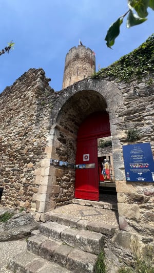 Najac, ses moulins et les bords de l’Aveyron - Najac - 2